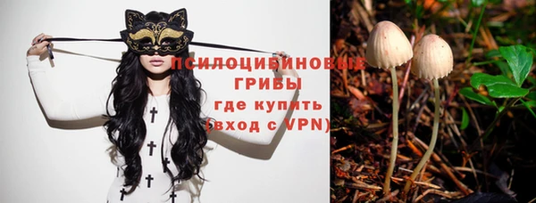 СК Вязьма