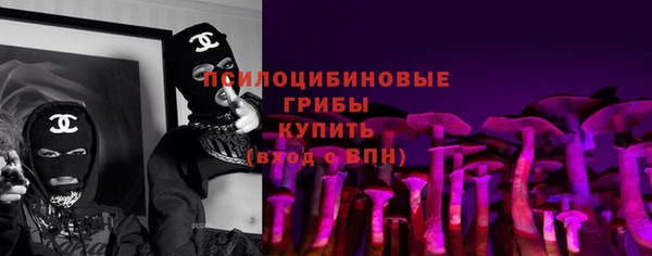 СК Вязьма